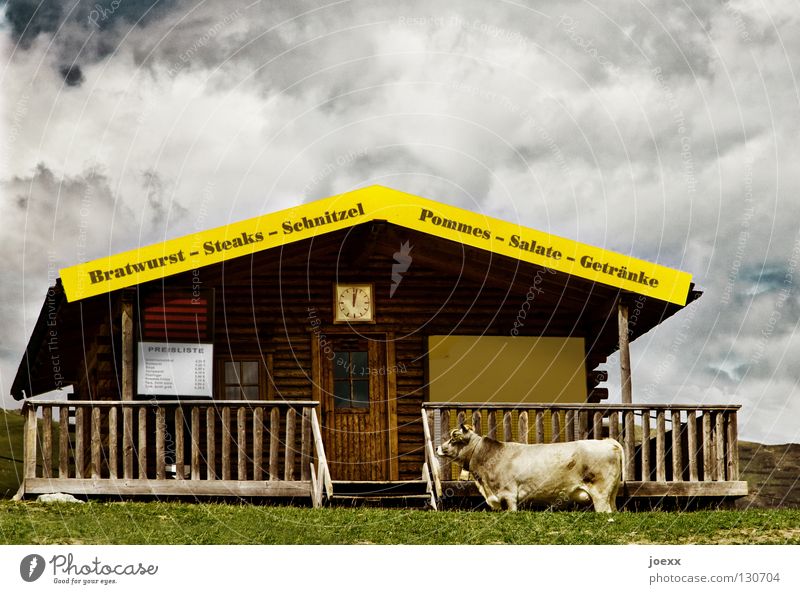 Zukunftsängste Alm Berghütte Wolken Bratwurst Fleisch Gras Holzhaus Holzhütte Kiosk Kuh Pommes frites Steak Uhr Veranda Wurstwaren Zukunftsangst Angst Panik