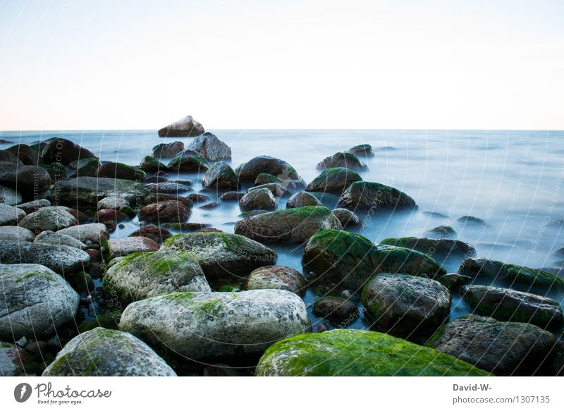 Naturpracht Umwelt Landschaft Urelemente Luft Wasser Himmel Wolkenloser Himmel Herbst Klima Schönes Wetter Küste Bucht Nordsee Ostsee außergewöhnlich Sehnsucht