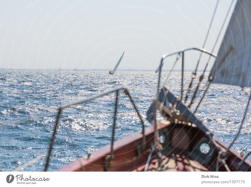 Ausschau halten Segeln Jacht Bewegung fahren frei Unendlichkeit maritim blau Stimmung Vertrauen ruhig erleben Freiheit Freizeit & Hobby Freude Leidenschaft