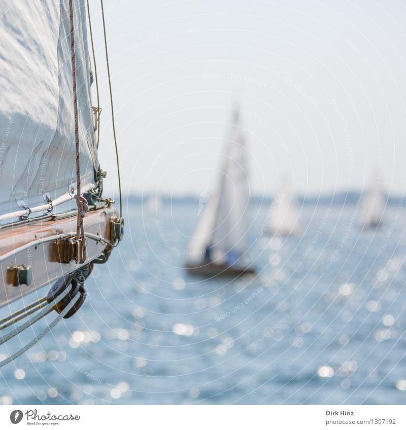 Segelblick Segeln Jacht blau Laboe Segelbaum Segelboot Segelschiff Segeljacht Segeltörn Segelurlaub Aussicht Seil Wasser Wasseroberfläche Ostsee Meer Regatta