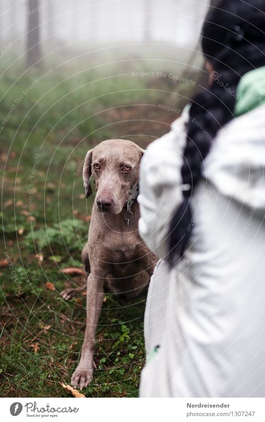 Schimpfen..... Freizeit & Hobby Mensch Frau Erwachsene Natur Nebel Regen Wald Jacke schwarzhaarig langhaarig Zopf Tier Haustier Hund sprechen Kommunizieren