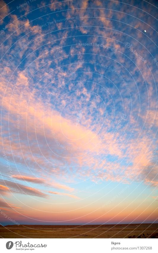 weiche Wolken und abstrakter Hintergrund schön Freiheit Sonne Dekoration & Verzierung Tapete Umwelt Natur Luft Himmel Mond Wetter hell natürlich rot Farbe