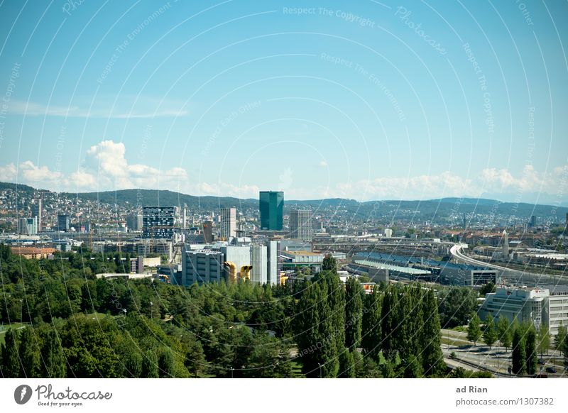 hoch hinaus. Landschaft Himmel Sommer Schönes Wetter Baum Park Wiese Hügel Zürich Stadt Stadtzentrum Stadtrand Haus Einfamilienhaus Hochhaus Bankgebäude Bauwerk