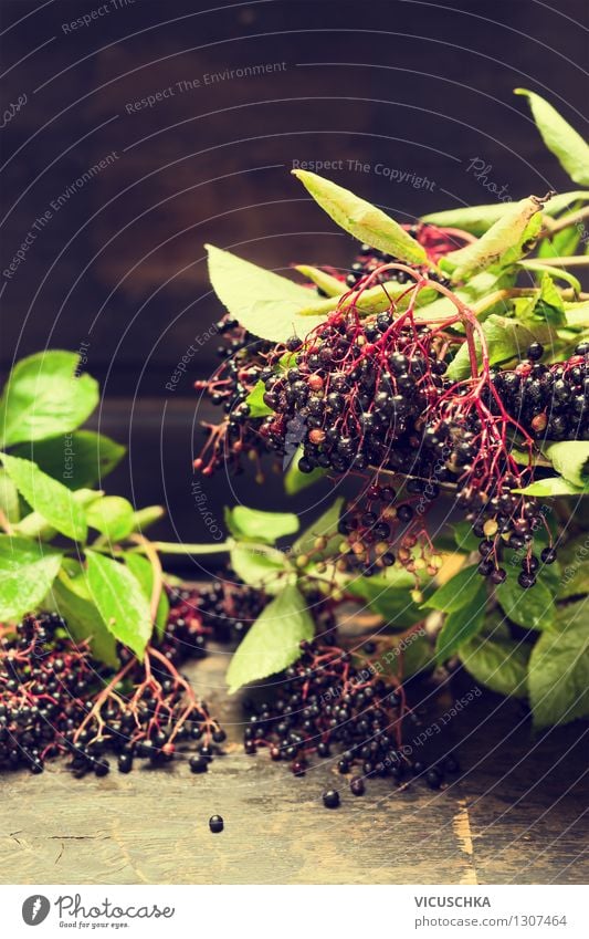 Holunderbeeren Lebensmittel Frucht Marmelade Ernährung Bioprodukte Vegetarische Ernährung Diät Stil Design Alternativmedizin Gesunde Ernährung Sommer Garten