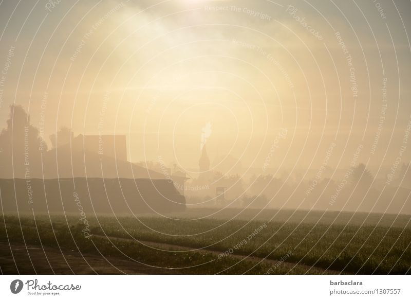 Dorf im Morgenlicht Landschaft Himmel Sonne Herbst Nebel Feld Kirche Straße Wege & Pfade leuchten hell Gefühle Stimmung Beginn Gedeckte Farben Außenaufnahme