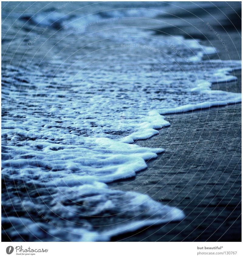 wie flocken von schnee° Meer Spanien Strand Unendlichkeit ruhig Rauschen Dämmerung genießen Außenaufnahme Landschaft Wasser schön Vergänglichkeit Costa da Morta