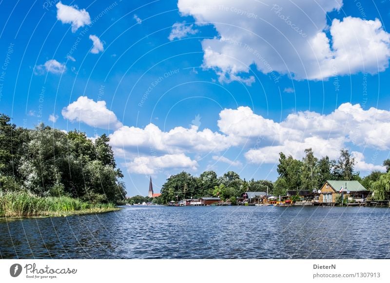 Warnow Natur Landschaft Wasser Himmel Wolken Sommer Wetter Schönes Wetter Baum Seeufer Flussufer Rostock Stadtrand Menschenleer Kirche Bauwerk Gebäude