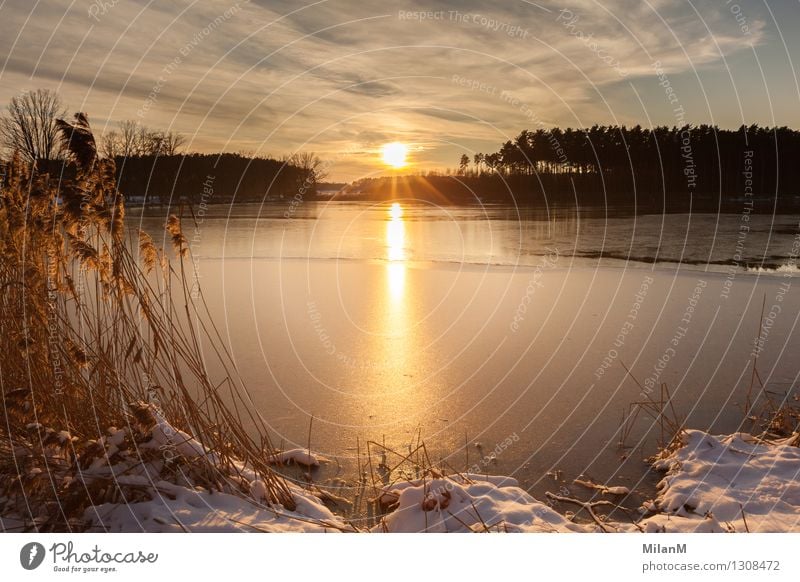 Wintersonne am See Wohlgefühl Zufriedenheit Erholung ruhig Ferne Freiheit Sonne Schnee Winterurlaub Natur Landschaft Wasser Himmel Wolken Horizont Sonnenaufgang