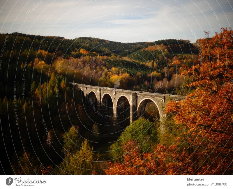 Hetzdorfer Viadukt wandern Natur Landschaft Herbst Baum Blatt Wald Hügel Tal Deutschland Europa Brücke Bauwerk Sehenswürdigkeit Bahnfahren braun mehrfarbig gelb