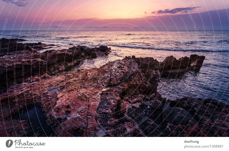 nur das rauschen des meeres. Landschaft Wasser Himmel Wolken Sonnenaufgang Sonnenuntergang Sommer Schönes Wetter Felsen Wellen Küste Mittelmeer orange rot