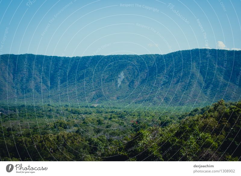 Ge­wal­tiges Hinterland von Cains.Queensland / Australia. Großes hohes Gebirgsmassiv im Hintergrund. ruhig Ausflug Landschaft Sommer Sträucher Berge u. Gebirge