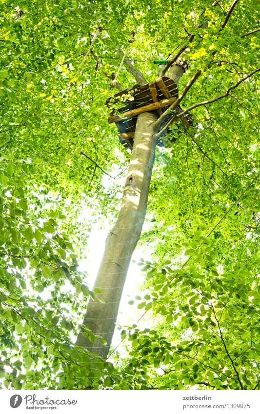 Baumhaus Haus Klettern Kletteranlage hochseilgarten Sport Froschperspektive Baumstamm Blatt Ast Zweig Wald Park grün Spielen Versteck Aussicht Aussichtsturm