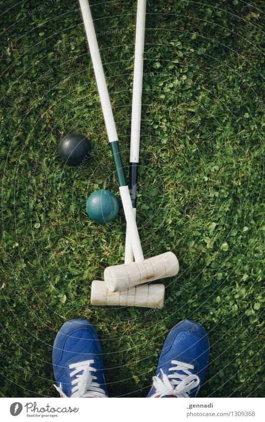 Alles Doppelt Gras Wiese blau grün Croquet Schuhe Golfschläger Ball paarweise Farbfoto Außenaufnahme Tag Vogelperspektive Blick nach unten