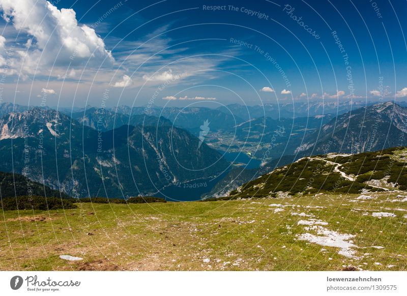 kurz vorm Absprung Ferien & Urlaub & Reisen Ausflug Abenteuer Ferne Sommer Sommerurlaub Sonne Berge u. Gebirge wandern Natur Landschaft Himmel Schönes Wetter