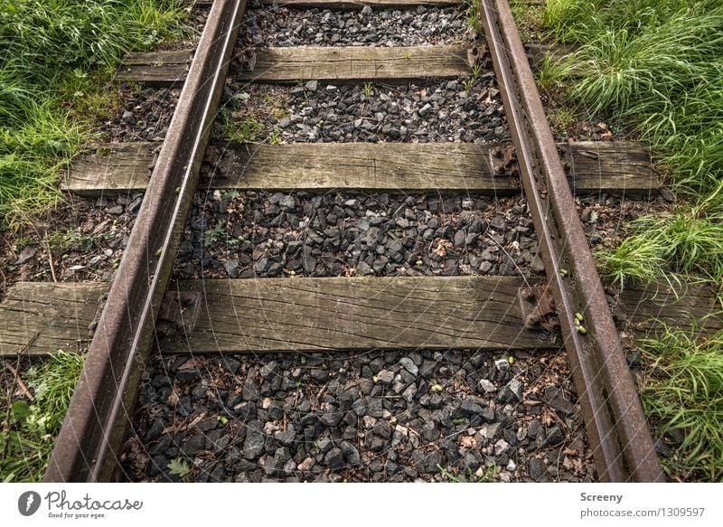 Alte Spuren Gras Schienenverkehr Gleise Stein Holz Metall alt braun grün Kraft standhaft Güterverkehr & Logistik Kies Rost Farbfoto Außenaufnahme Nahaufnahme