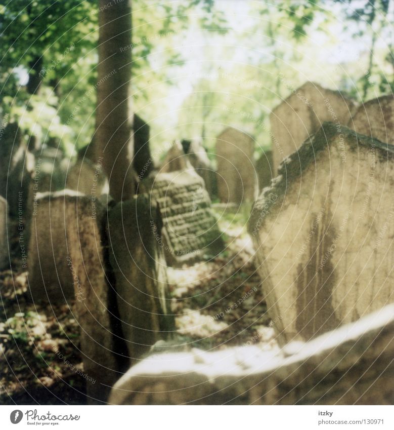 Jüdischer Friedhof Prag Judentum Licht Grabmal Grabstein Trauer Verzweiflung Sonne