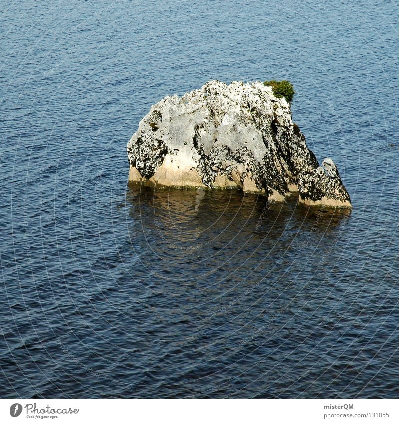 Globale Erwärmung und ihre Folgen. Insel Inseln Meer Hoffnung Überleben Klimawandel Felsen Kraft Einsamkeit dezent Wasser Leben Stein Wellen Detailaufnahme