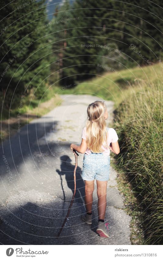 Wandertag Mensch feminin Kind Mädchen Kindheit 1 3-8 Jahre Umwelt Natur Sonnenlicht Sommer Schönes Wetter Wald beobachten entdecken Erholung laufen Blick