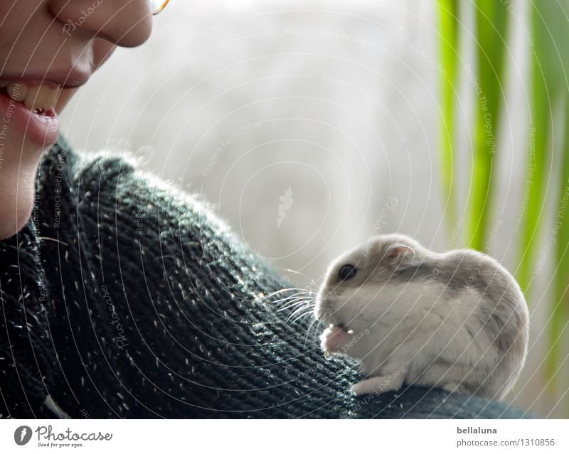 Keine Sonnenblume Mensch feminin Kind Mädchen Kindheit Haut Nase Mund Lippen Zähne Arme 1 8-13 Jahre Tier Haustier Tiergesicht Fell Pfote Fressen füttern sitzen