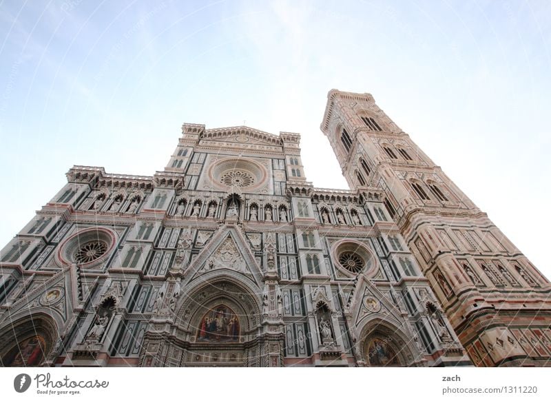 Cattedrale di Santa Maria Assunta Wolkenloser Himmel Siena Italien Toskana Kleinstadt Stadt Stadtzentrum Altstadt Haus Religion & Glaube Kirche Dom Palast Platz