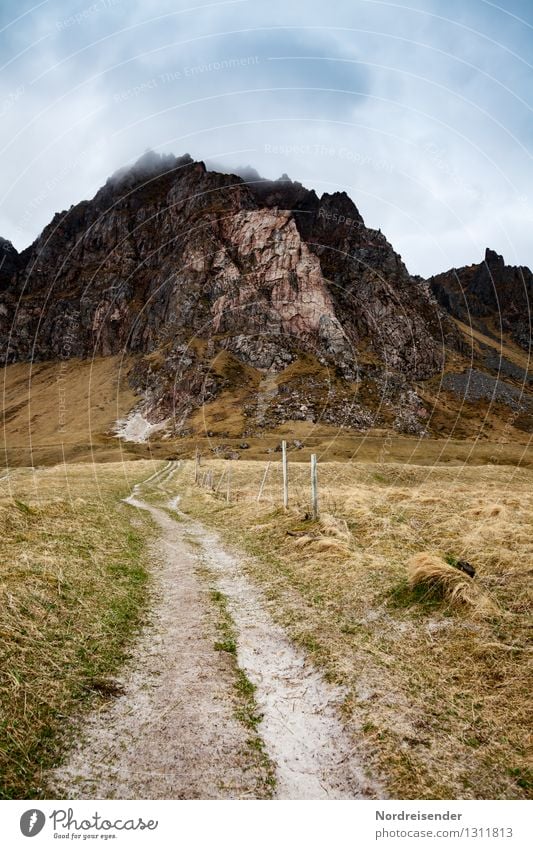 Vesterålen.... Ferien & Urlaub & Reisen Ausflug Ferne Freiheit wandern Natur Landschaft Urelemente Himmel Wolken Klima schlechtes Wetter Gras Felsen