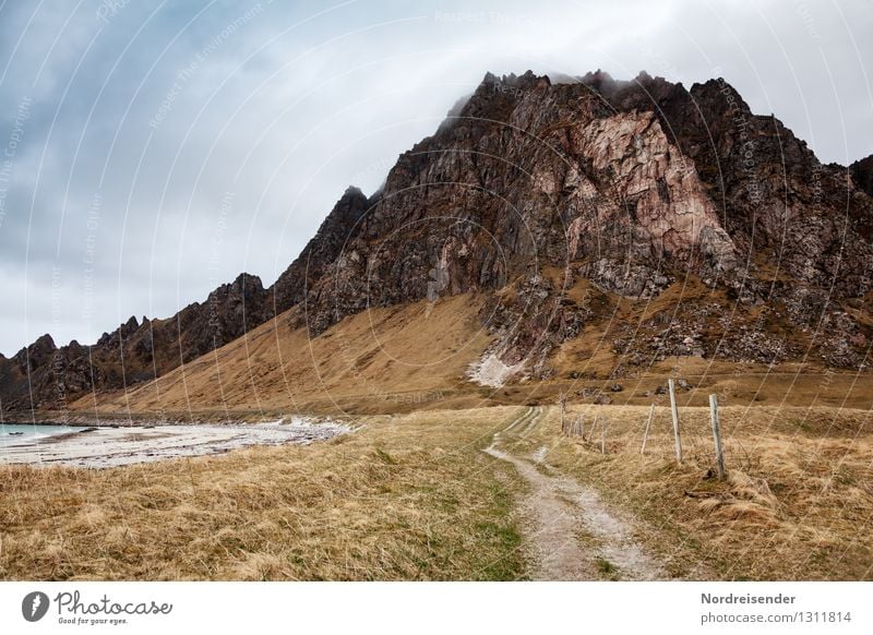 Vesterålen Meer Berge u. Gebirge wandern Natur Landschaft Urelemente Wolken Klima schlechtes Wetter Gras Küste Wege & Pfade dunkel natürlich Fernweh Einsamkeit