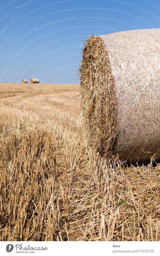 Landwirtschaft Feld Stroh Rolle gerollt gepresst Menschenleer