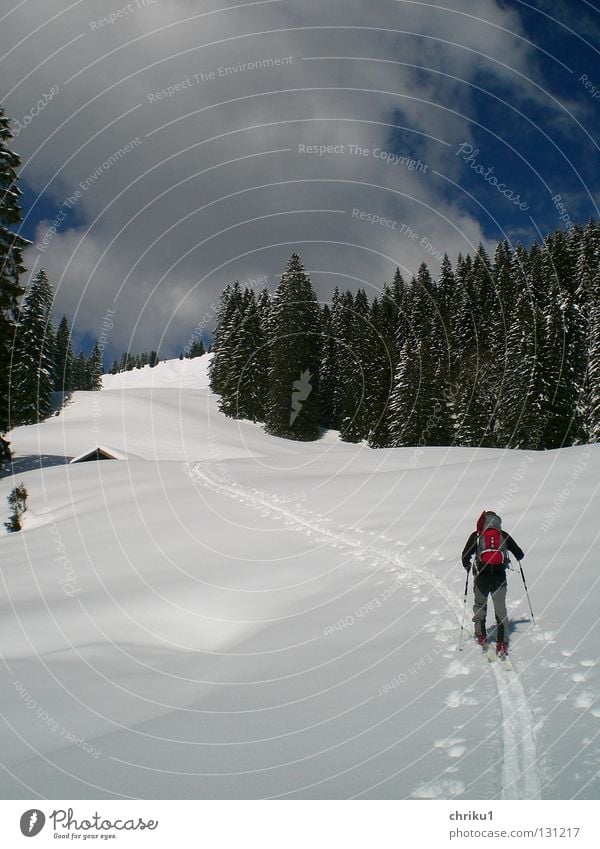 ....Richtung Frühling....? Skitour Ferien & Urlaub & Reisen Wald Schneespur Skispur Mann Skifahrer Rucksack Wolken Freizeit & Hobby ruhig Skifahren Bergsteigen