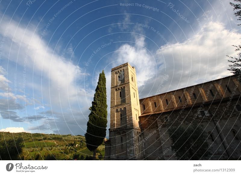 Kontemplation Umwelt Natur Landschaft Himmel Wolken Frühling Sommer Schönes Wetter Pflanze Baum Zypresse Park Feld Hügel Abtei Sant’Antimo Val D'Orcia Italien