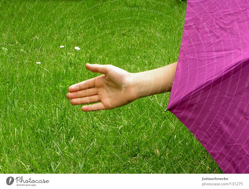 Bitte fahren Sie rechts ran....... stoppen Halt Aufenthalt Hand rosa grün Gras Wiese Spielen verstecken rückwärts Freude Macht Polizeikontrolle Regenschirm