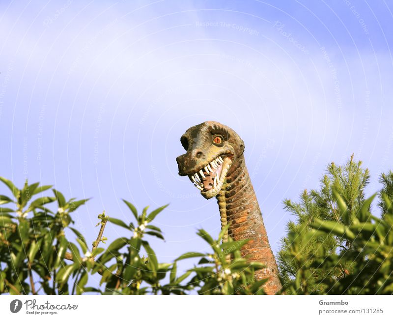 Hallo Nachbar Dinosaurier ausgestorben Hecke Freundlichkeit Mallorca Freude wie geht's? schönes Wetter heut' und bei Ihnen so? danke gut muss ja Gebiss Hals