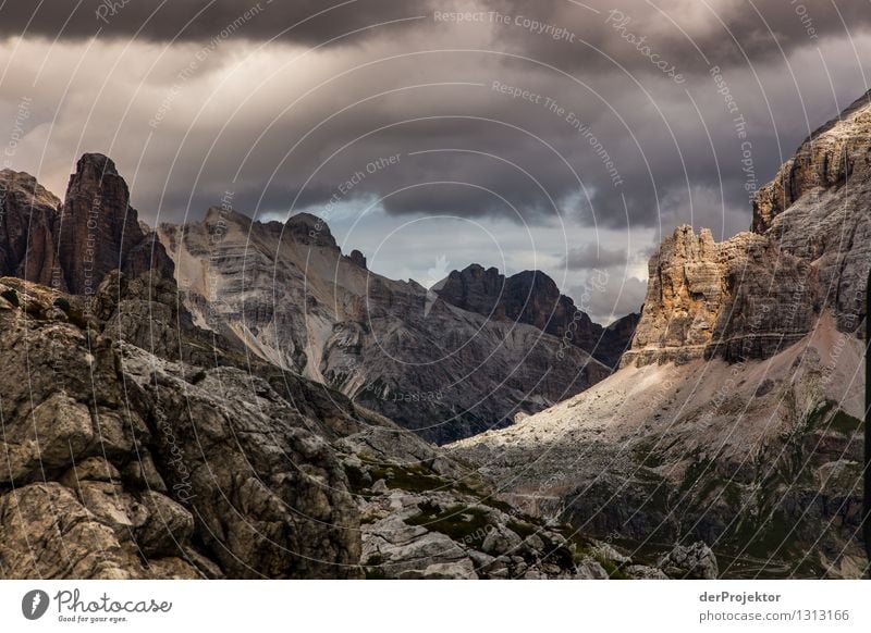 Dolomiten brachial Ferien & Urlaub & Reisen Tourismus Ausflug Abenteuer Ferne Freiheit Berge u. Gebirge wandern Umwelt Natur Landschaft Pflanze Tier Sommer