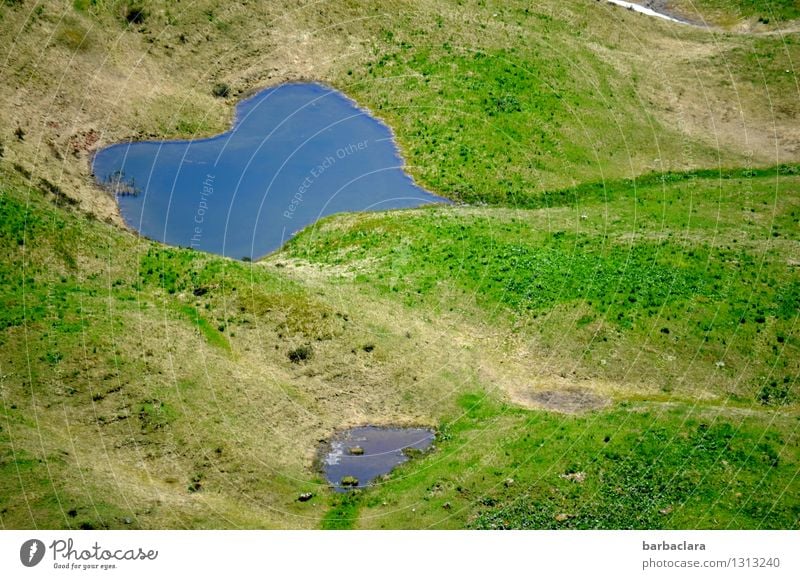 Lebenselixier | klares Gebirgswasser Ferien & Urlaub & Reisen Berge u. Gebirge Natur Landschaft Urelemente Erde Wasser Klima Wiese Alpen See Gebirgssee Herz