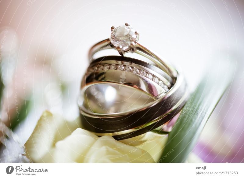 Ringe Feste & Feiern Hochzeit Schmuck Ehering verlobungsring ästhetisch elegant Erfolg teuer Kostbarkeit Farbfoto Außenaufnahme Makroaufnahme Menschenleer Tag