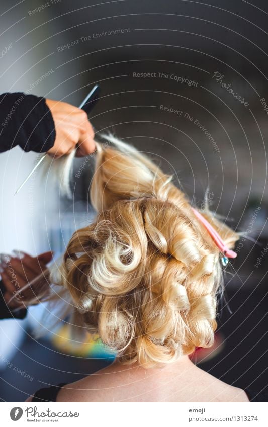 frisieren feminin Haare & Frisuren 1 Mensch blond Locken schön verschönern Farbfoto Innenaufnahme Tag Schwache Tiefenschärfe Rückansicht