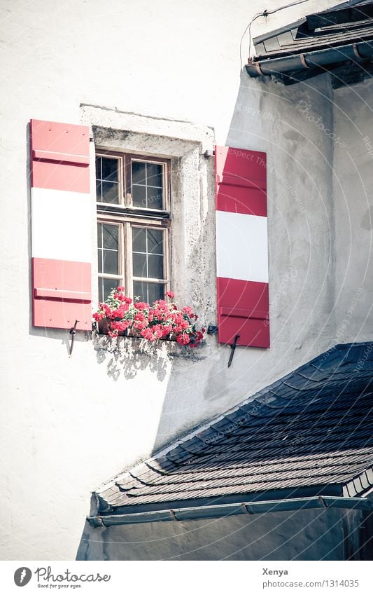 Fenster mit Fensterläden in rot weiß Haus Mauer Wand Fensterladen Urlaubsfoto Blumenkasten Dach Außenaufnahme Menschenleer Licht Schatten Farbfoto Gebäude