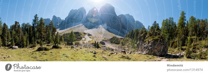 Meine Name ist Rama, Pano Rama Umwelt Natur Landschaft Wiese Wald Felsen Alpen Berge u. Gebirge Dolomiten Gipfel außergewöhnlich bedrohlich gigantisch groß