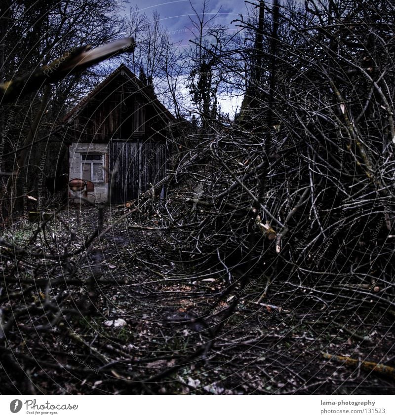 Woodcutter's Home Haus Holzhaus Holzfäller Sägewerk Baum Wald fällen Brennholz Blatt Unterholz Abholzung unruhig dunkel unheimlich Märchen Hänsel und Gretel