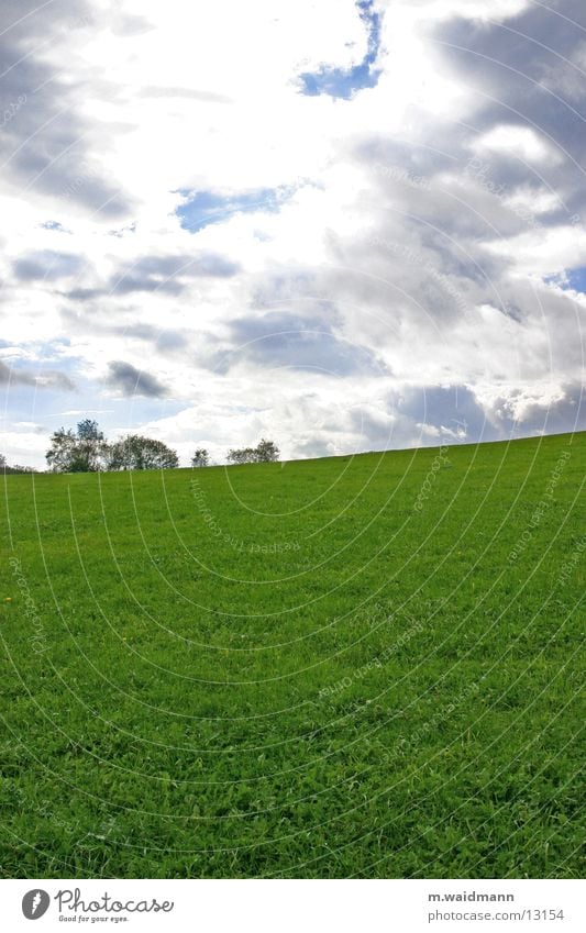 leichte steigung Wiese grün Gras Feld Wolken Baum Berge u. Gebirge Himmel