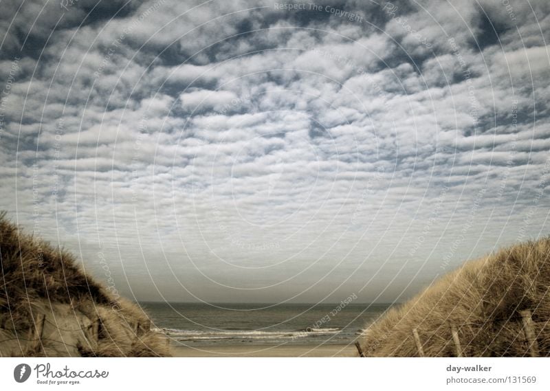 Ab durch die Mitte Meer See Gras Wolken Strand Zaun Wellen Brandung Küste Zugang Himmel Wasser Nordsee Stranddüne Sand Natur Ferne Pfosten Wege & Pfade