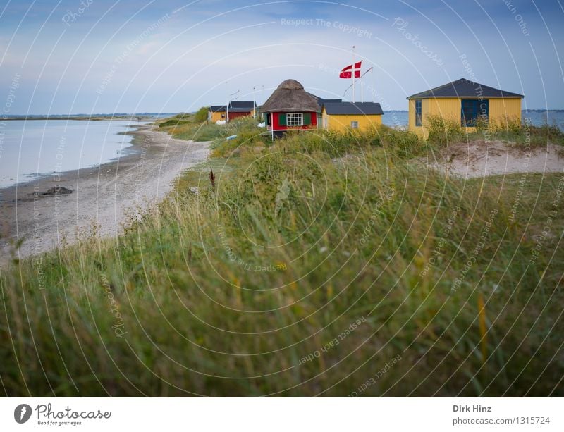 Strandhäuser in Marstal Wohlgefühl Ferien & Urlaub & Reisen Tourismus Ferne Freiheit Sommer Sommerurlaub Meer Schönes Wetter Gras Sträucher Küste Seeufer Ostsee