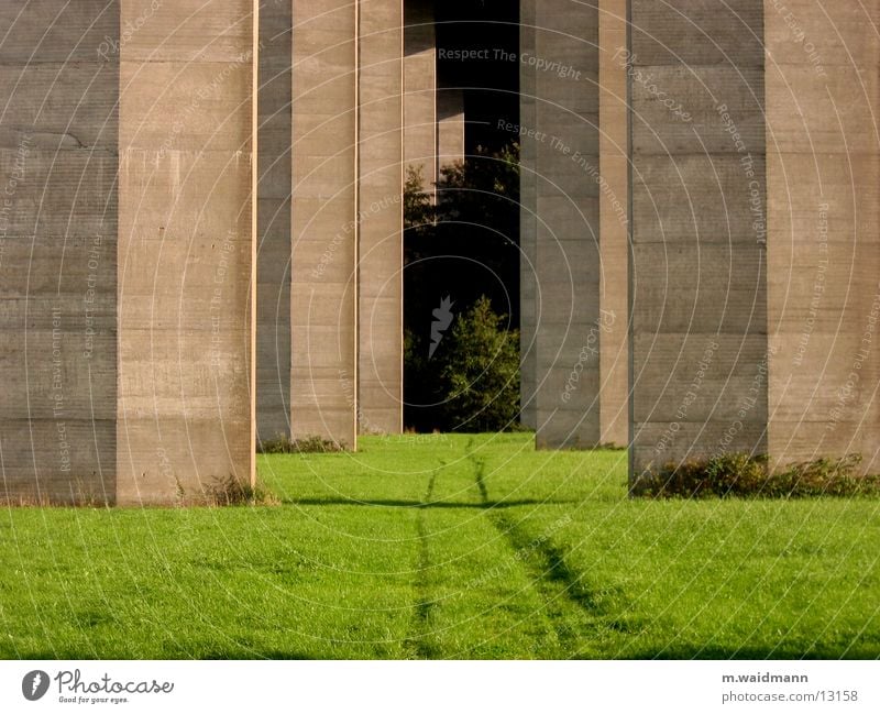 bäume aus beton 1 Beton Säule Wiese Feld Spuren Baum Brücke Wege & Pfade