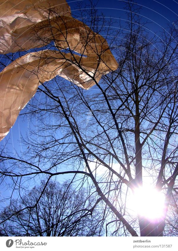 Wunschwetter Abdeckung Bauplane Sturm flattern Wellen himmelblau Baum Himmel Schnur blaues band frühlingsopfer Wind wehen Bewegung Dynamik Ast Zweig