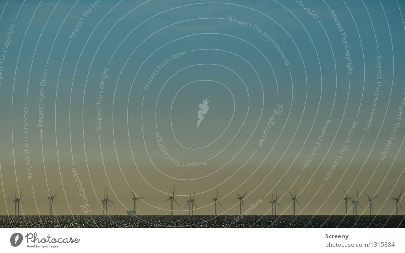 Kindergarten Technik & Technologie Energiewirtschaft Erneuerbare Energie Windkraftanlage Wasser Himmel Wolkenloser Himmel Schönes Wetter Nordsee Teamwork Umwelt