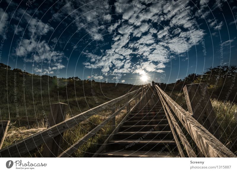 Stairway to heaven Ferien & Urlaub & Reisen Tourismus Ausflug Abenteuer Freiheit Sommer Sommerurlaub Sonne Meer Natur Landschaft Pflanze Himmel Wolken