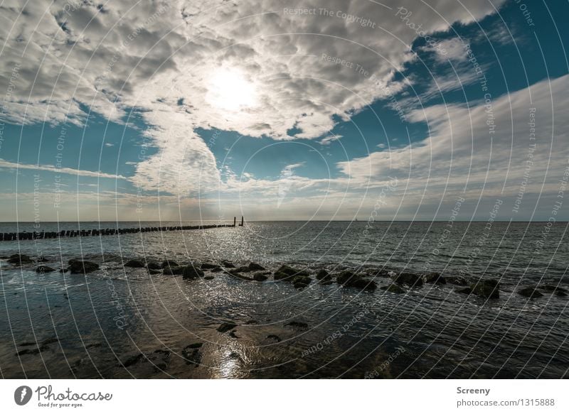 Ebbe Ferien & Urlaub & Reisen Tourismus Ausflug Sommer Sommerurlaub Sonne Strand Meer Wellen Natur Landschaft Pflanze Wasser Himmel Wolken Schönes Wetter Küste