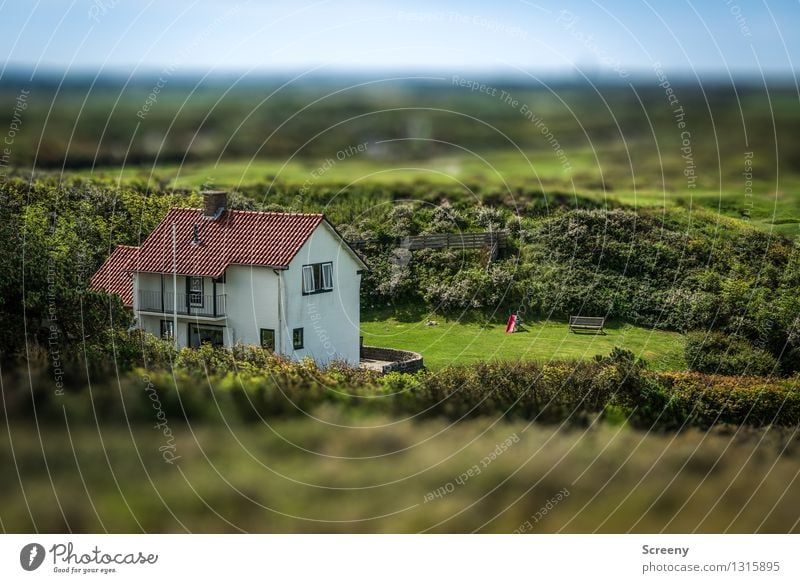 Haus + Hund + Rutsche + Bank Natur Landschaft Pflanze Himmel Schönes Wetter Einfamilienhaus Garten Dach blau grün Reichtum Düne Ferienhaus Tilt-Shift Farbfoto