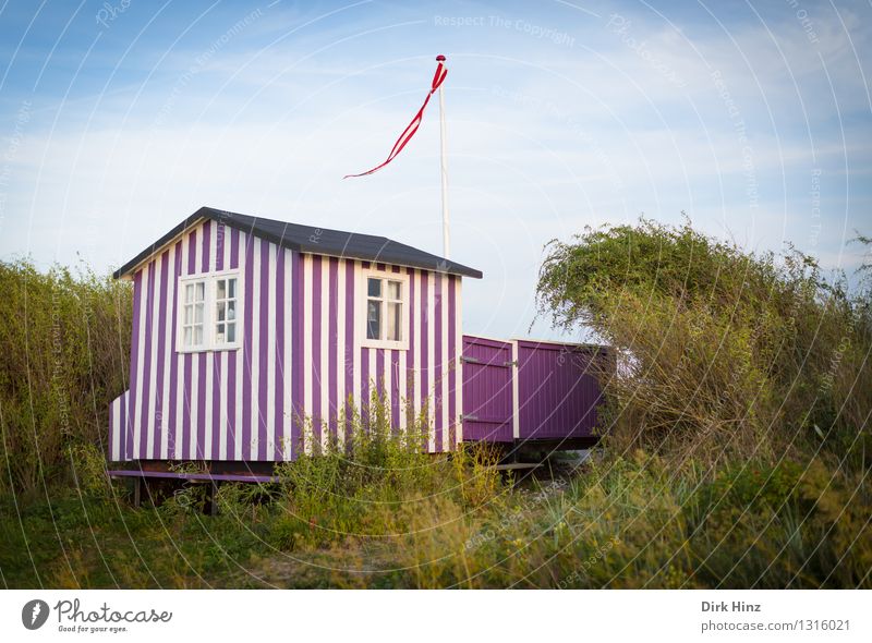 Lila Strandhaus Freizeit & Hobby Ferien & Urlaub & Reisen Tourismus Ausflug Sommer Sommerurlaub Sonne Schönes Wetter Küste Ostsee Insel einfach Ferne