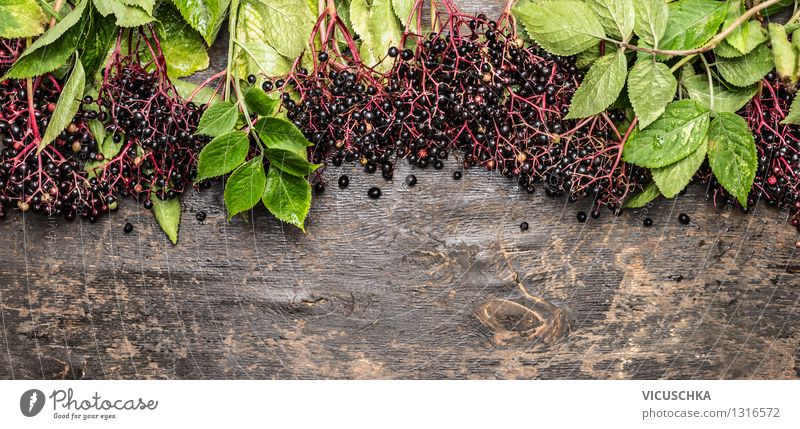 Reife Holunderbeeren auf rustikalem Holztisch Lebensmittel Frucht Dessert Ernährung Bioprodukte Vegetarische Ernährung Diät Stil Design Alternativmedizin