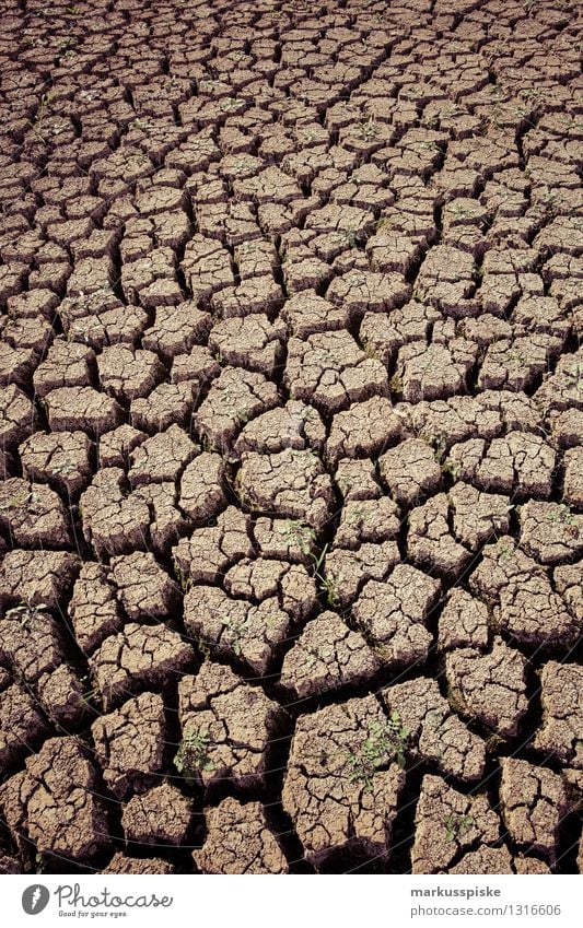 ausgetrocknet Ferien & Urlaub & Reisen Abenteuer Ferne Expedition Camping Landwirtschaft Forstwirtschaft Umwelt Natur Landschaft Pflanze Tier Klima Klimawandel